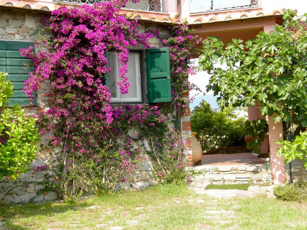 B&B Le Palme Амелья Екстер'єр фото