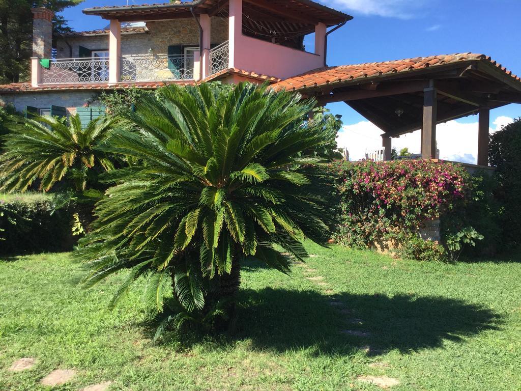 B&B Le Palme Амелья Екстер'єр фото